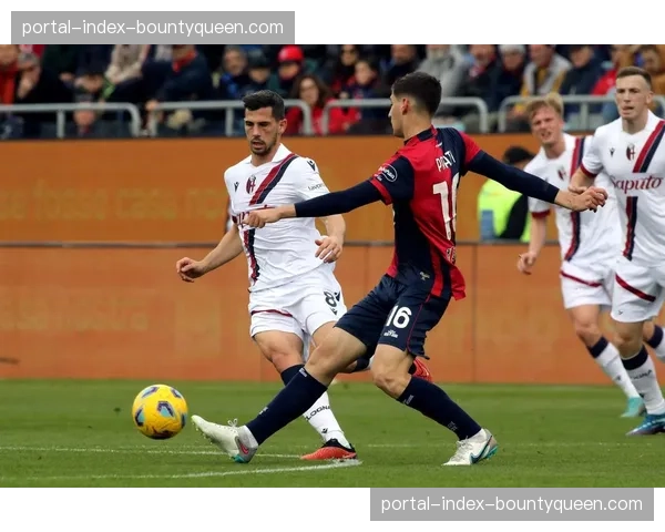 弗罗西诺内主场对阵卡利亚里，球场广播使用双语播报